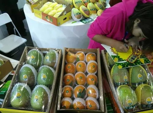 大豐收 攀枝花特色農產品驚艷世博會 銷售額達500萬元,項目簽約13億元