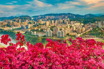 拉票!看一看 瞧一瞧 2017年民生示范工程出爐啦,請為28號攀枝花投一票~