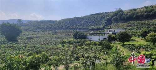 本網(wǎng)原創(chuàng) 中國(guó)網(wǎng)