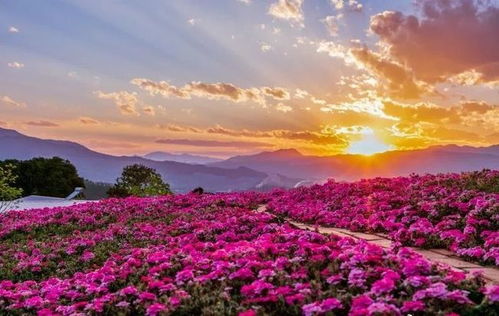 中秋國(guó)慶避開(kāi)人人人 攀枝花這幾處小眾打卡地,再也藏不住了