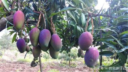 四川未來最&ldquo;吃香&rdquo;的城市,成都、綿陽落榜,這個城市眾望所歸