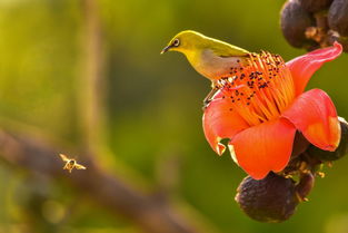 陽光的味道 2017年度攀枝花 十大新聞 揭曉 附中獎(jiǎng)名單