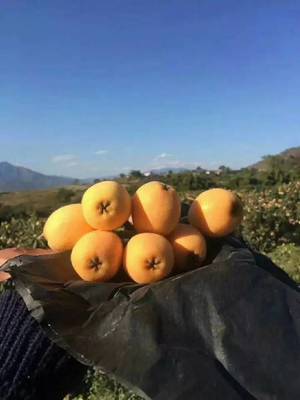 攀枝花新增一個國家地理標志保護產品，你絕對吃過！