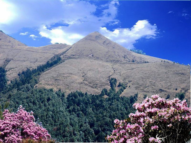 攀枝花8844戶外 露營大姚百草嶺帽臺山AA召集活動（10月25-26日）