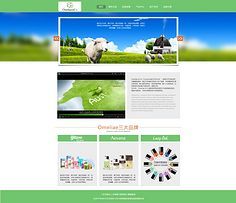 網(wǎng)頁與網(wǎng)站設(shè)計(jì) 打造卓越用戶體驗(yàn)的關(guān)鍵要素