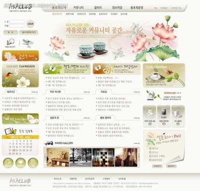 韓國ASA俱樂部網(wǎng)站PSD模版 打造動感活力的專業(yè)網(wǎng)頁與網(wǎng)站設計